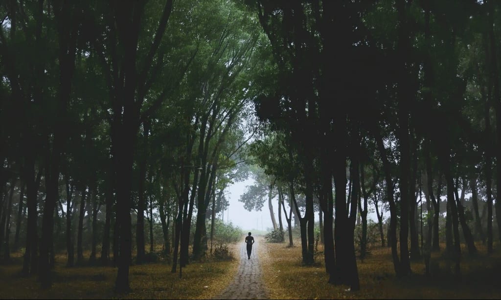 Same trail New Vision